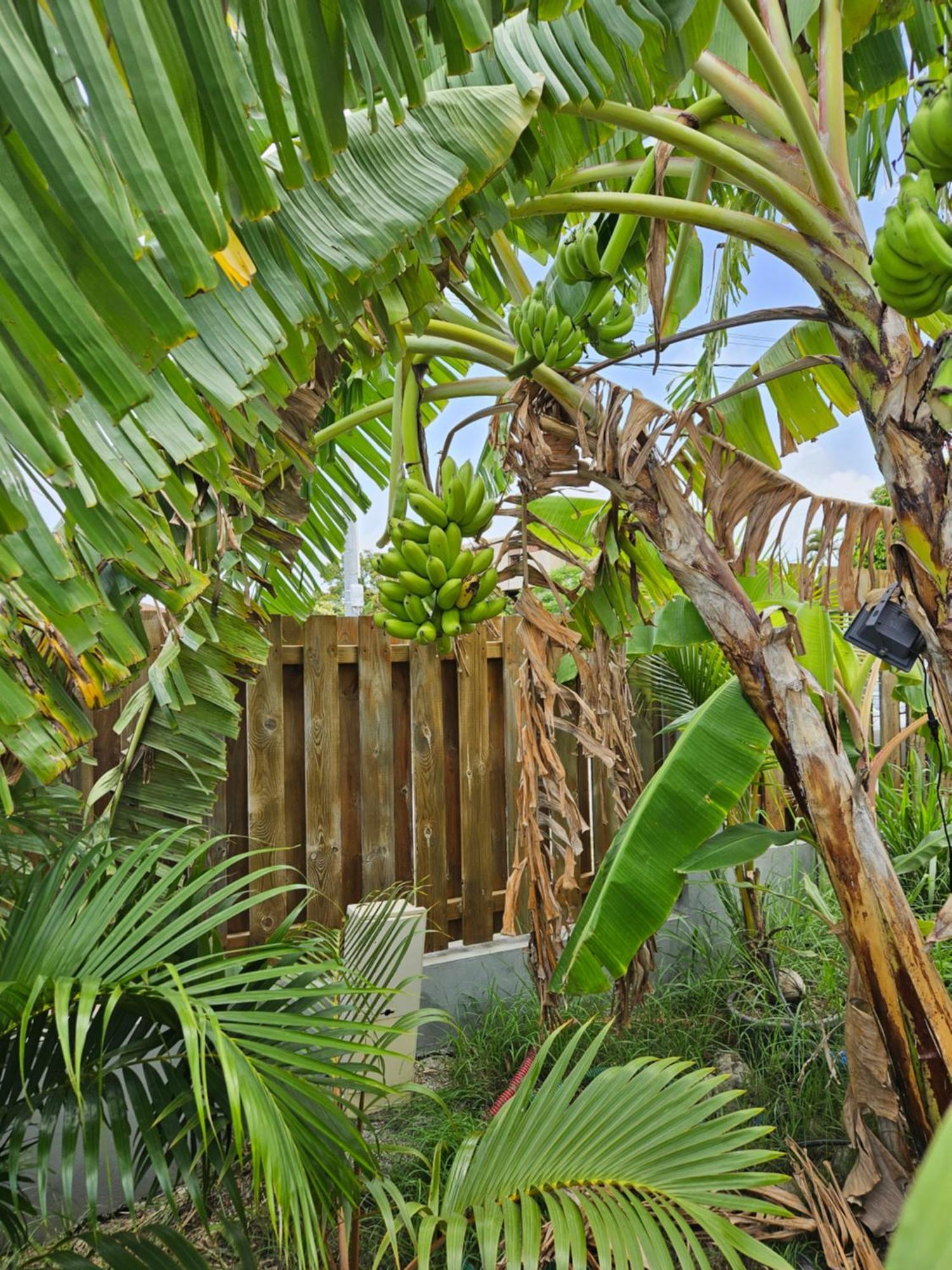 Bungalows Ti Lodge Martinique - Pres De La Plage Avec Jacuzzi Prive Sainte-Luce Exterior photo